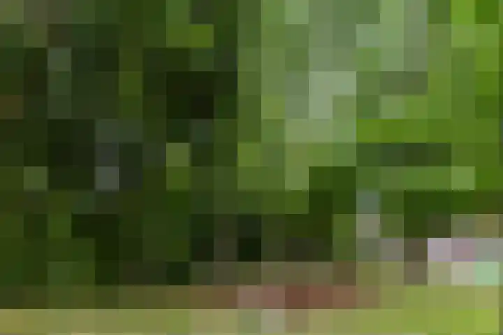 Gemberweg 16 Utrecht thumbnail 81