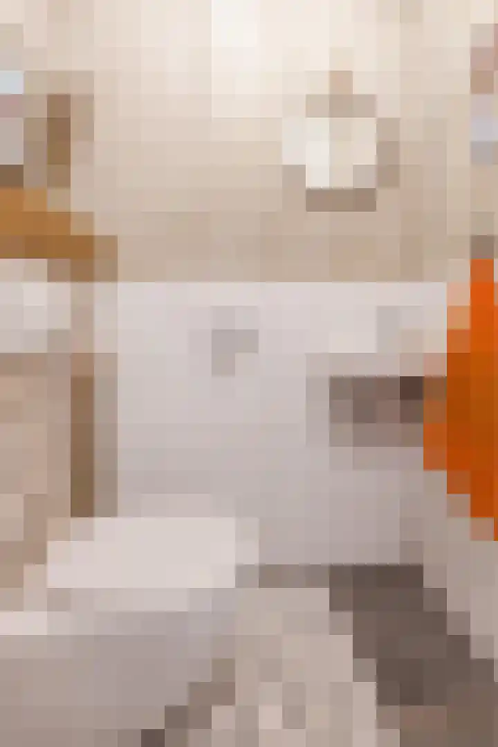 Gemberweg 16 Utrecht thumbnail 9