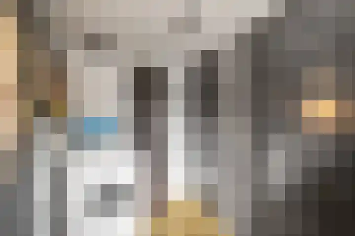 Gemeenelandsweg 106 Den Oever thumbnail 12