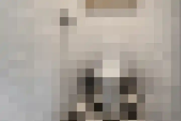 Gemeenelandsweg 106 Den Oever thumbnail 13