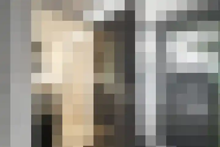 Gemeenelandsweg 106 Den Oever thumbnail 14