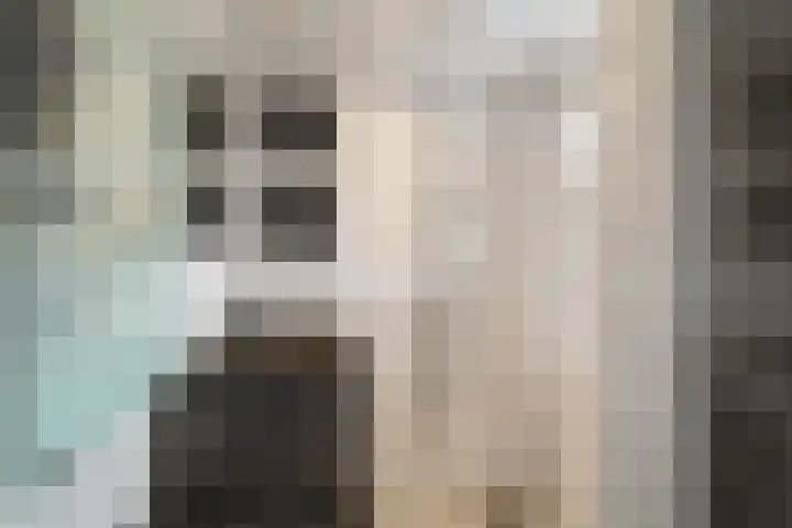 Gemeenelandsweg 106 Den Oever thumbnail 15