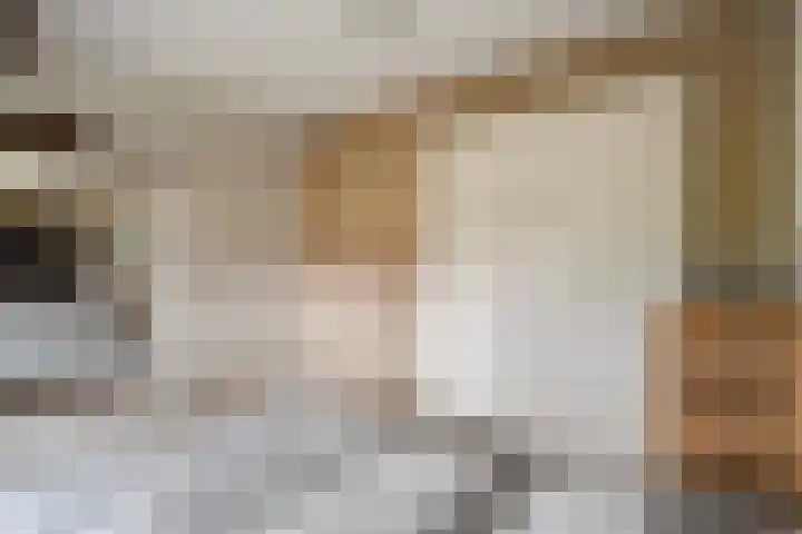 Gemeenelandsweg 106 Den Oever thumbnail 17