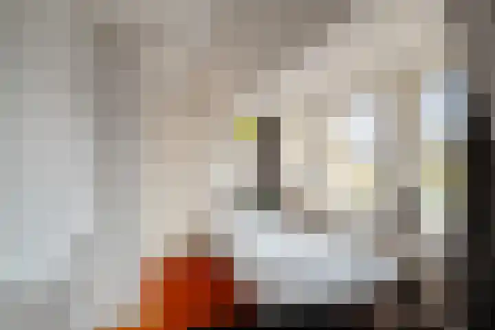 Gemeenelandsweg 106 Den Oever thumbnail 18