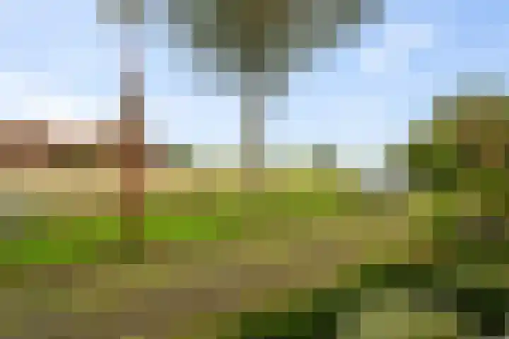 Gemeenelandsweg 106 Den Oever foto 2