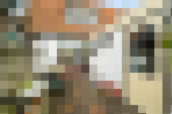 Gemeenelandsweg 106 Den Oever thumbnail 23