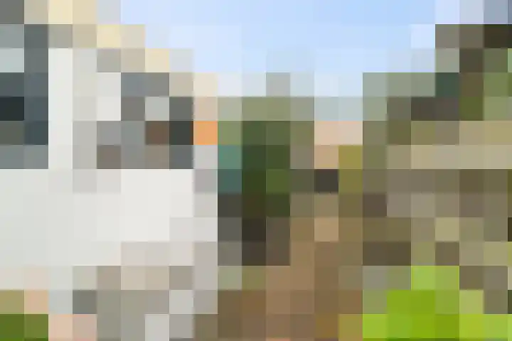 Gemeenelandsweg 106 Den Oever thumbnail 24