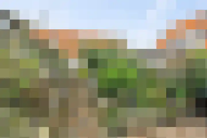 Gemeenelandsweg 106 Den Oever thumbnail 25