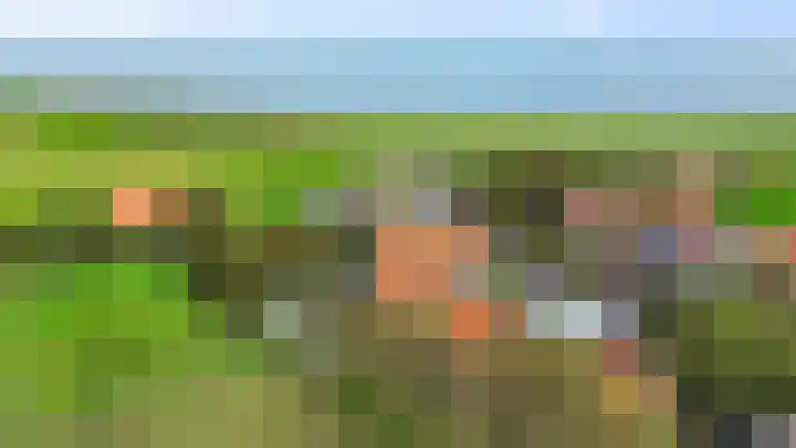 Gemeenelandsweg 106 Den Oever thumbnail 28