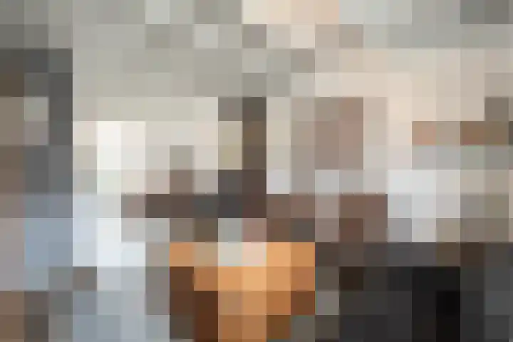 Gemeenelandsweg 106 Den Oever foto 3