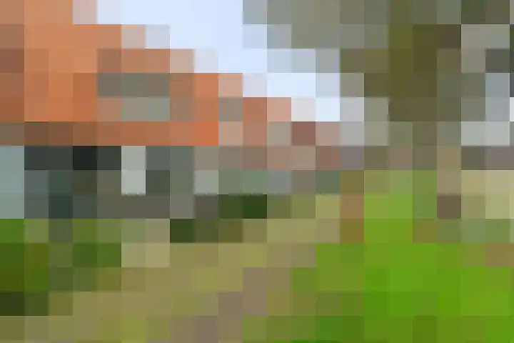 Gemeenelandsweg 106 Den Oever thumbnail 5