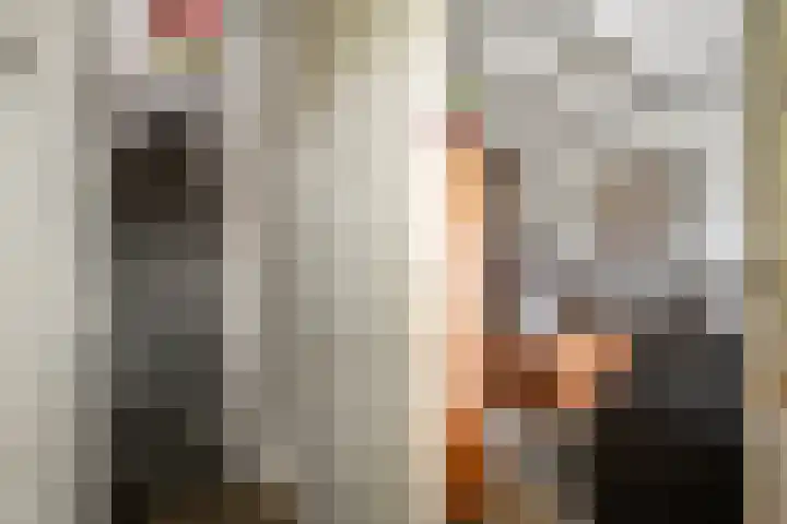 Gemeenelandsweg 106 Den Oever thumbnail 6
