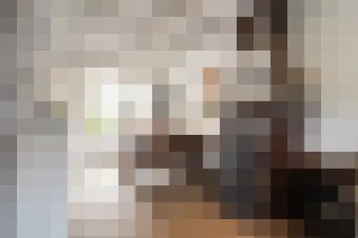 Gemeenelandsweg 106 Den Oever thumbnail 9