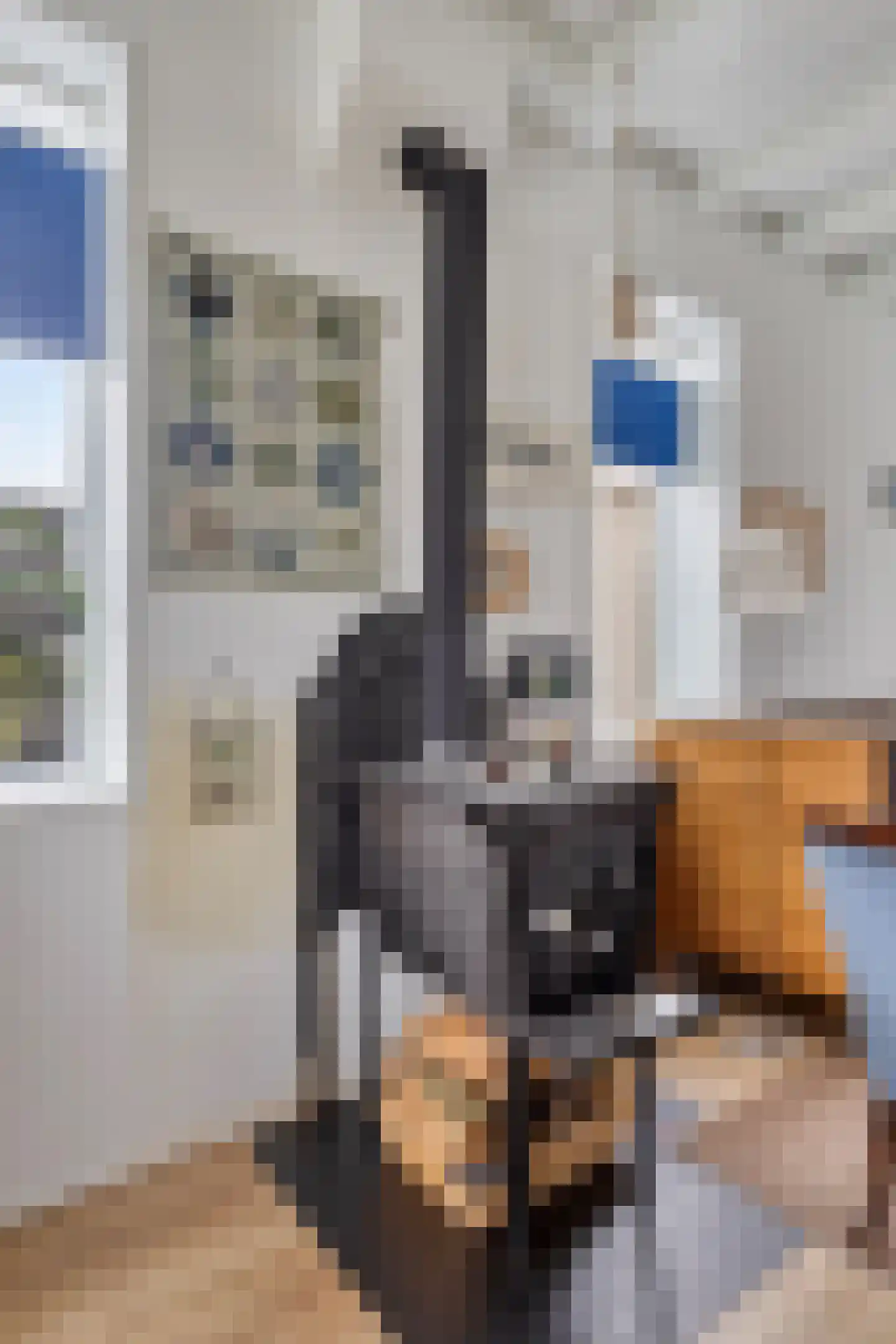 Gemeenelandsweg 108 Den Oever thumbnail 13