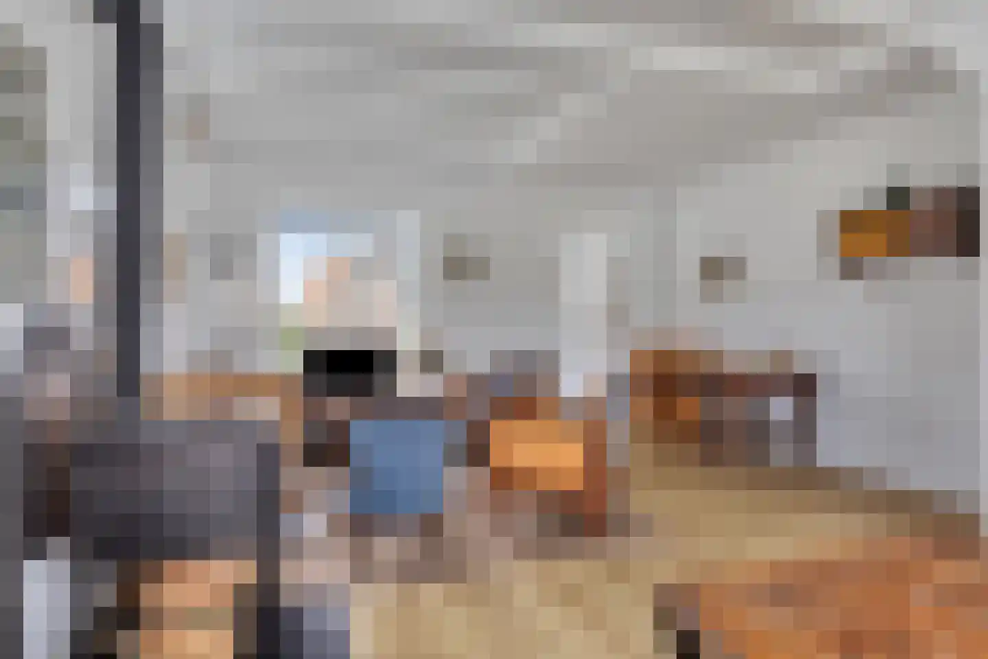 Gemeenelandsweg 108 Den Oever foto 2