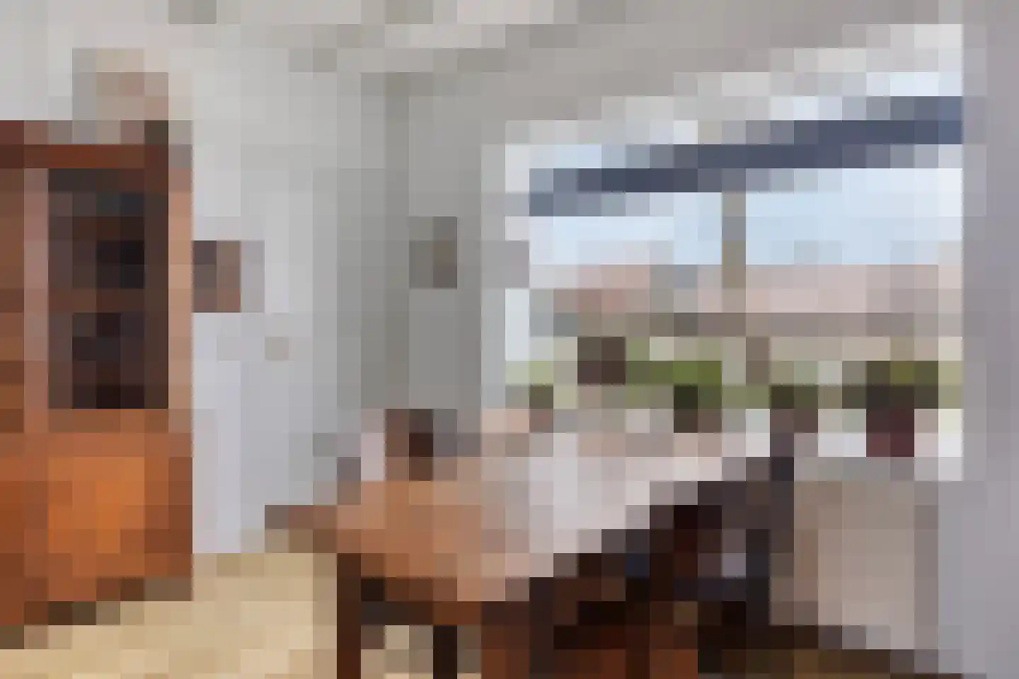 Gemeenelandsweg 108 Den Oever foto 3