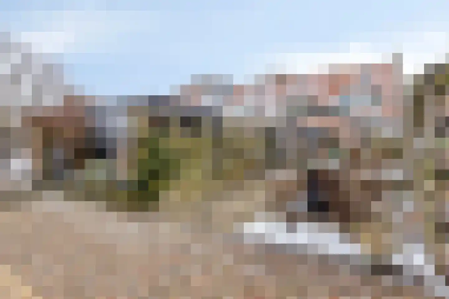 Gemeenelandsweg 108 Den Oever thumbnail 4