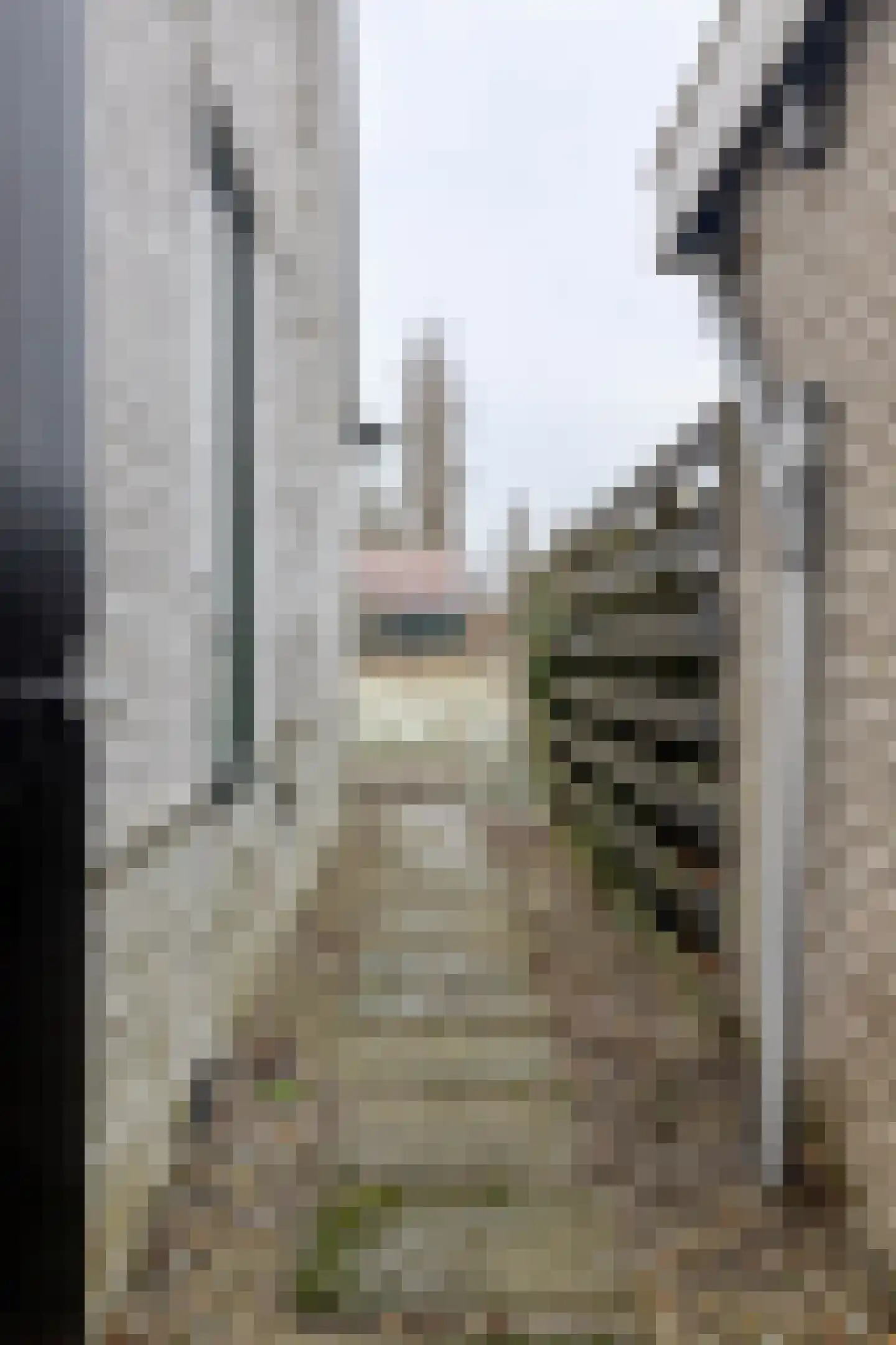 Gemeenelandsweg 108 Den Oever thumbnail 40