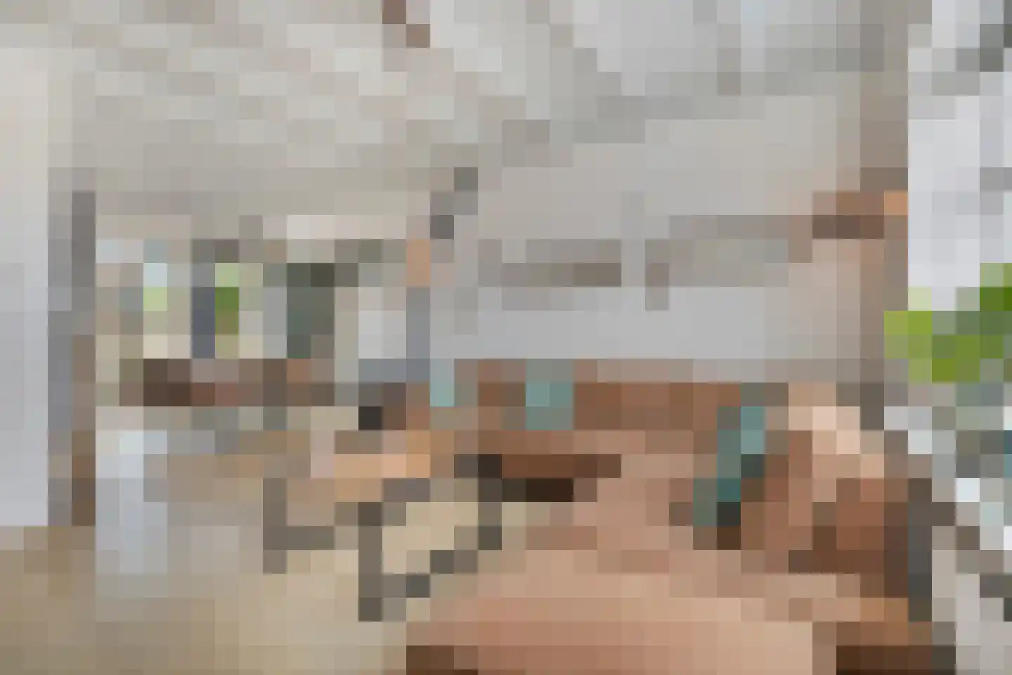 Gemeenelandsweg 122 Den Oever thumbnail 11