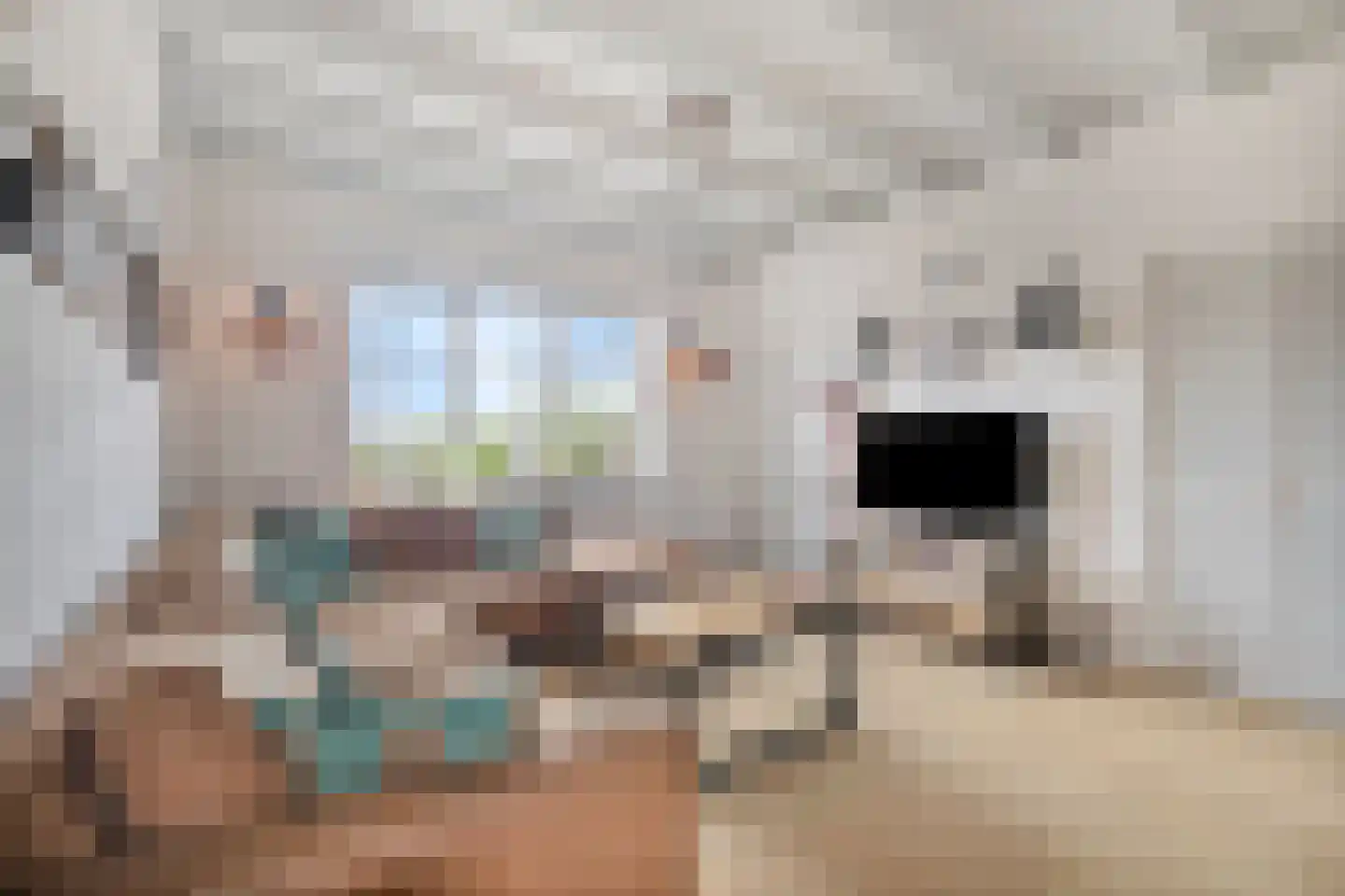 Gemeenelandsweg 122 Den Oever thumbnail 12