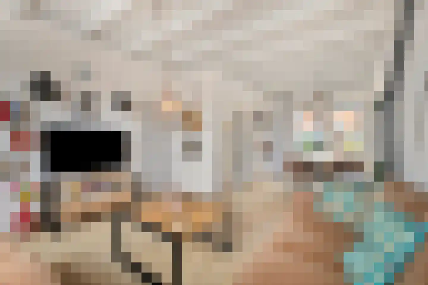 Gemeenelandsweg 122 Den Oever thumbnail 15