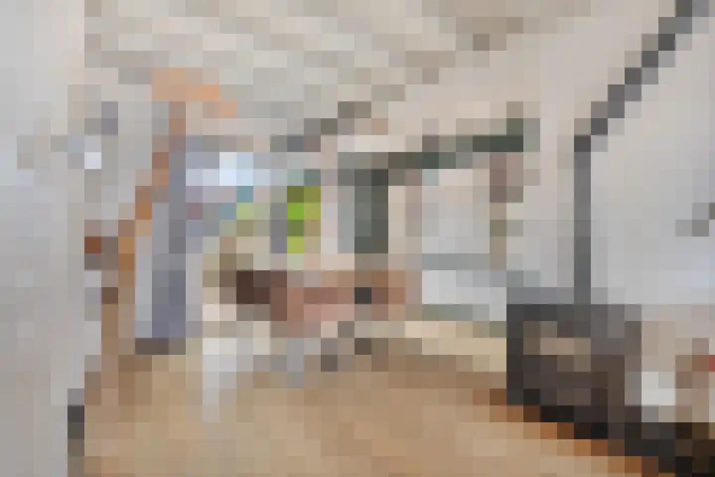 Gemeenelandsweg 122 Den Oever thumbnail 17