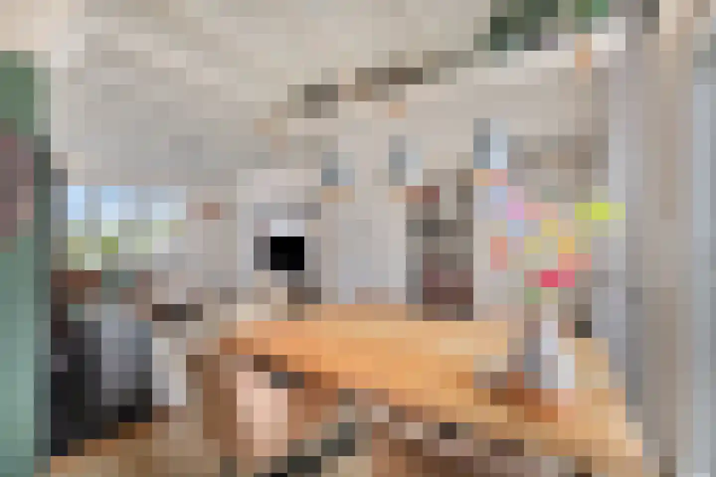 Gemeenelandsweg 122 Den Oever thumbnail 18