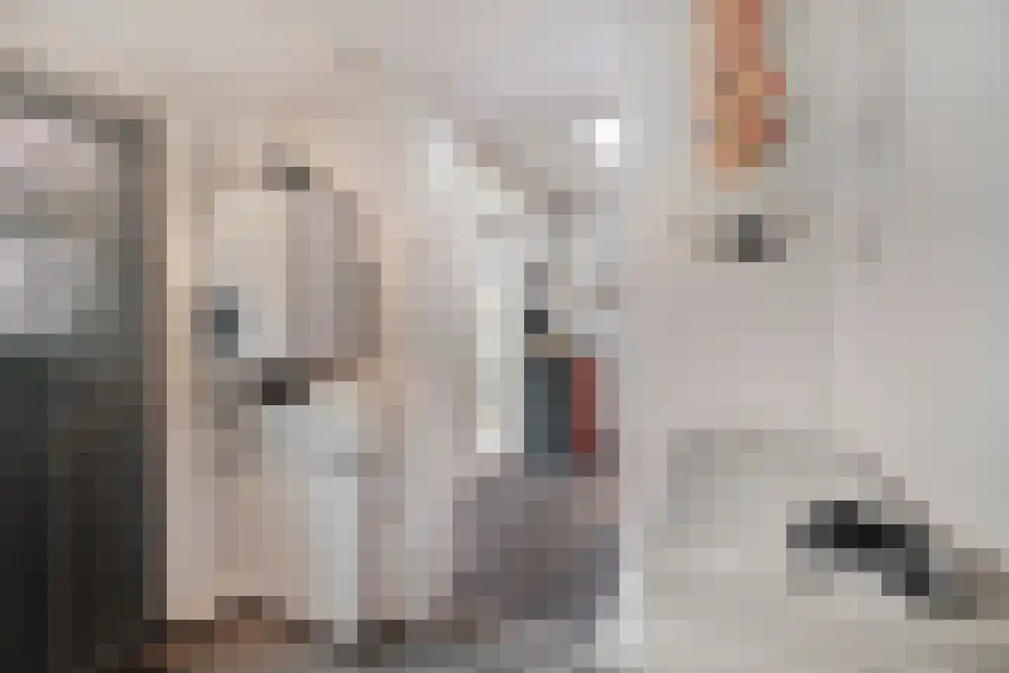 Gemeenelandsweg 122 Den Oever thumbnail 25