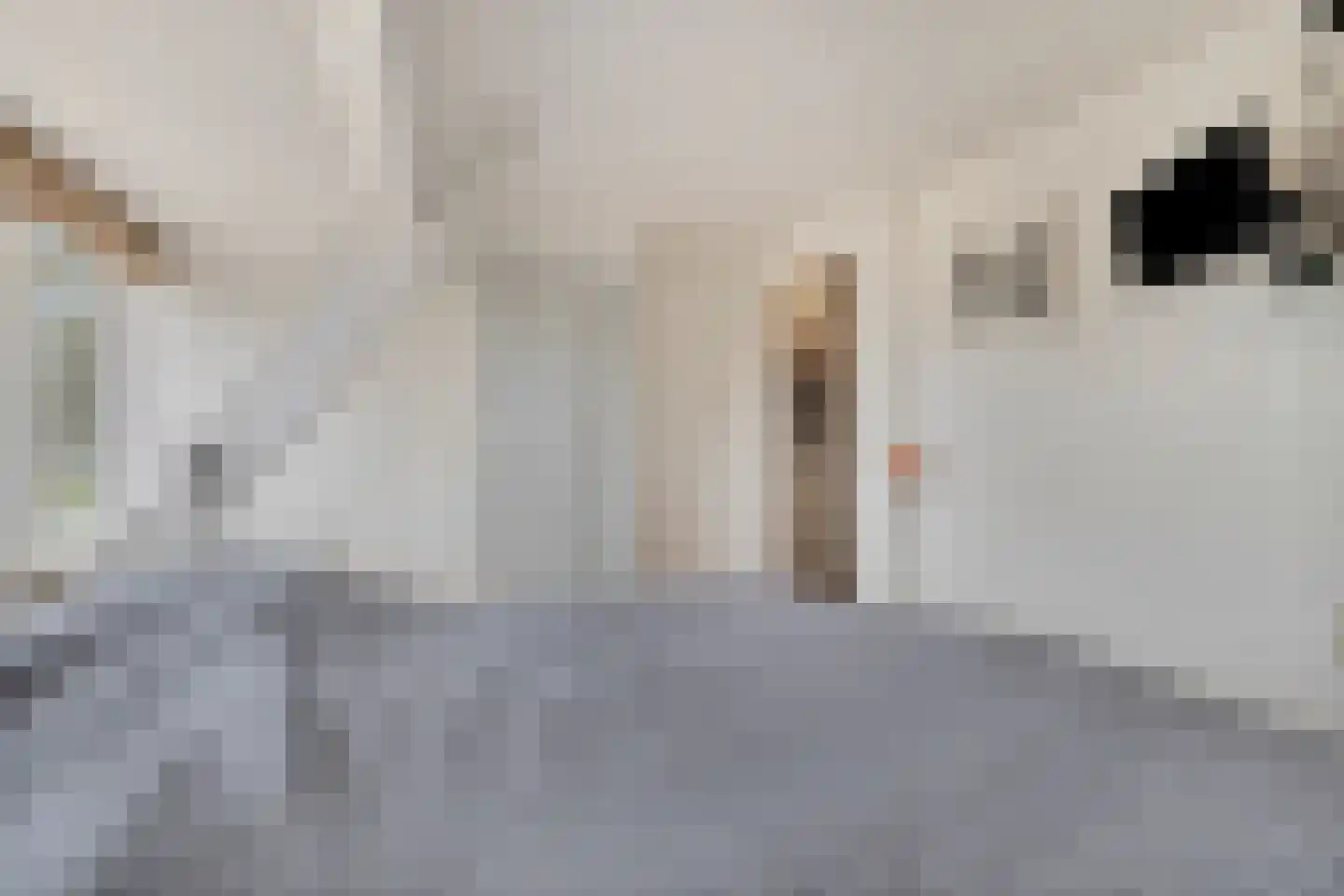 Gemeenelandsweg 122 Den Oever thumbnail 29