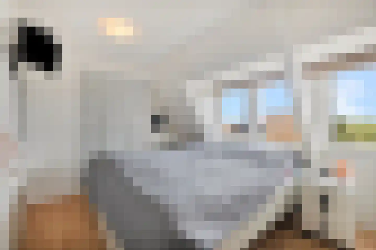 Gemeenelandsweg 122 Den Oever thumbnail 30