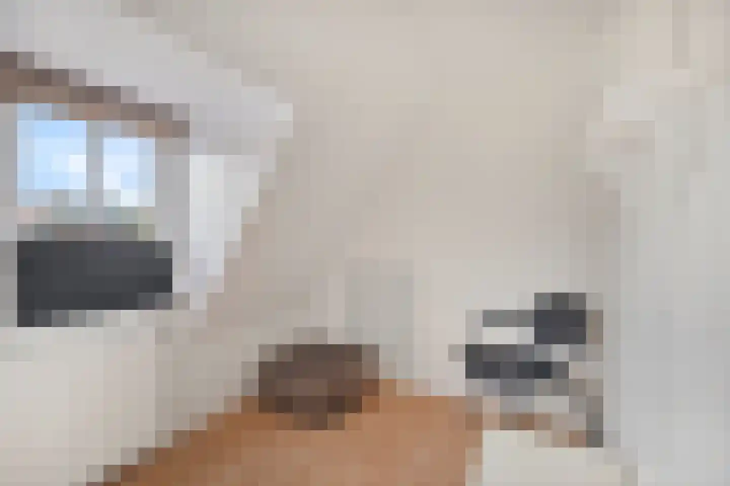 Gemeenelandsweg 122 Den Oever thumbnail 31