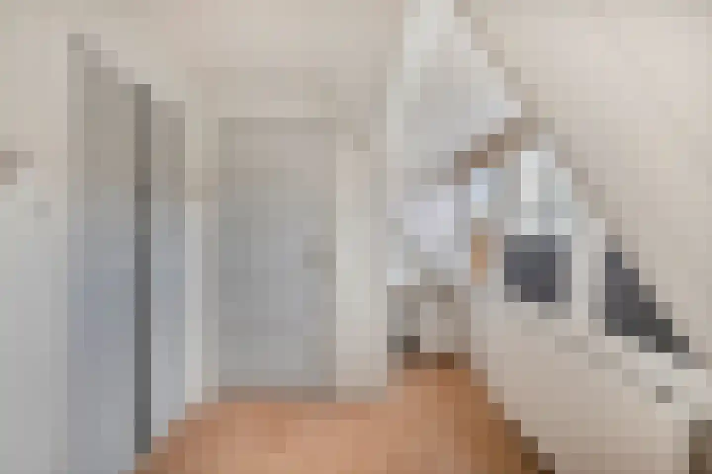 Gemeenelandsweg 122 Den Oever thumbnail 32