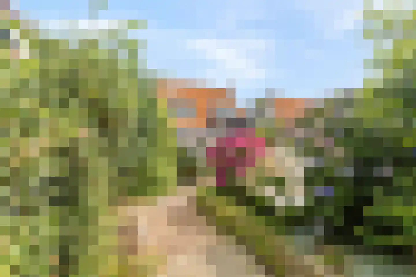 Gemeenelandsweg 122 Den Oever thumbnail 57