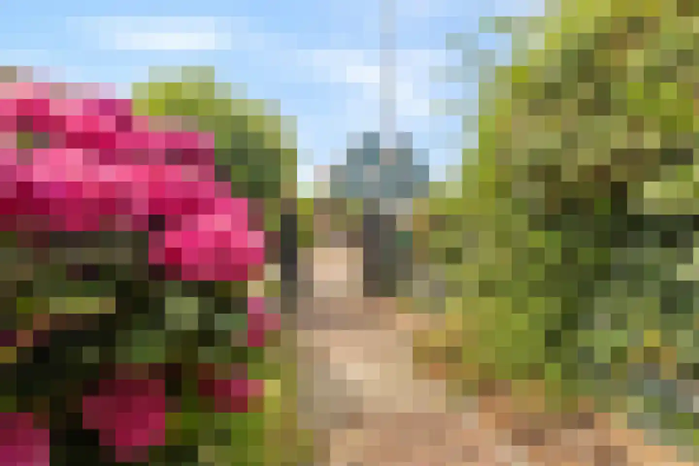 Gemeenelandsweg 122 Den Oever thumbnail 58