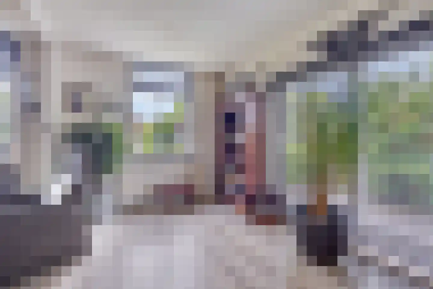 Gemeenelandsweg 15 Hippolytushoef thumbnail 12