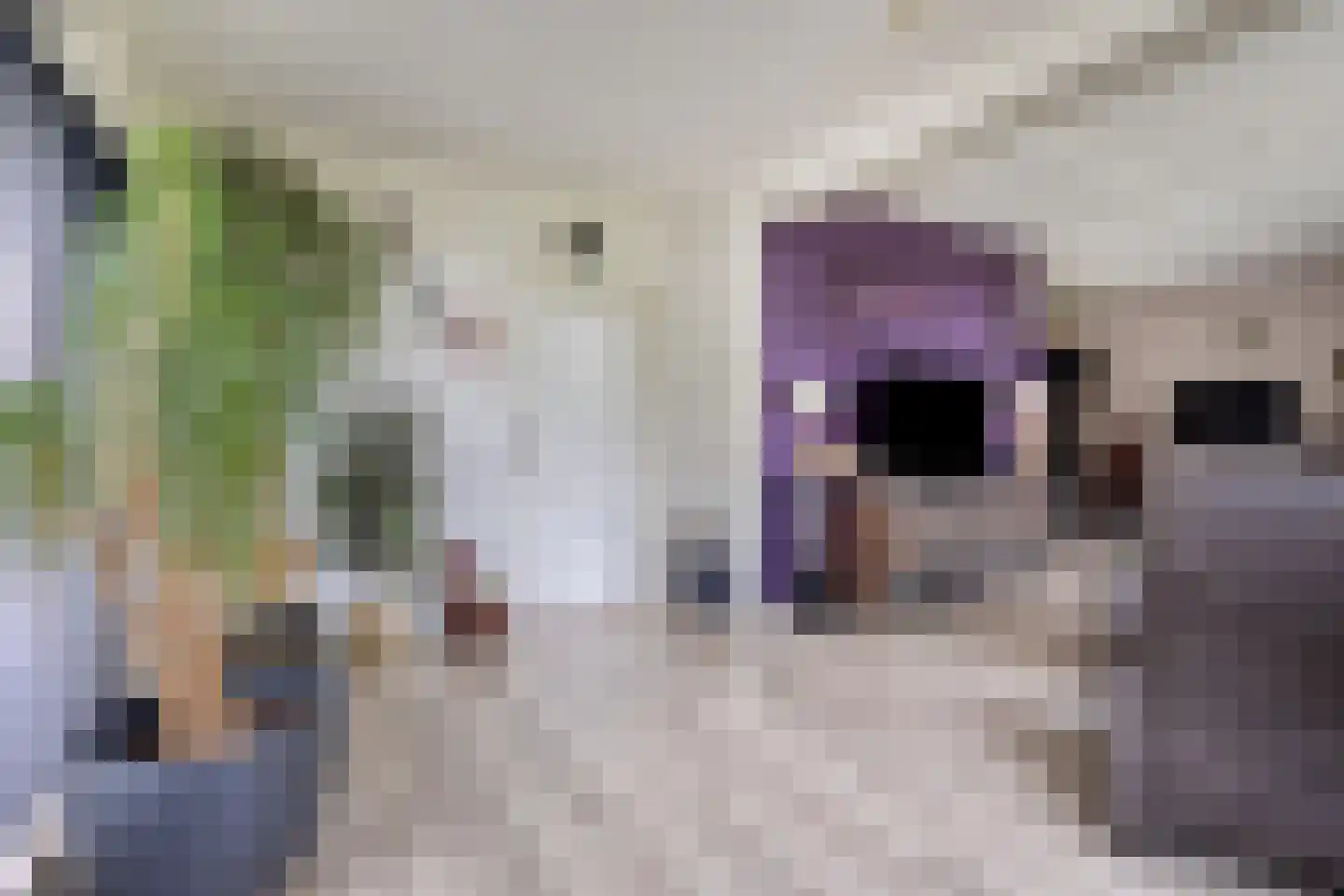 Gemeenelandsweg 15 Hippolytushoef thumbnail 13