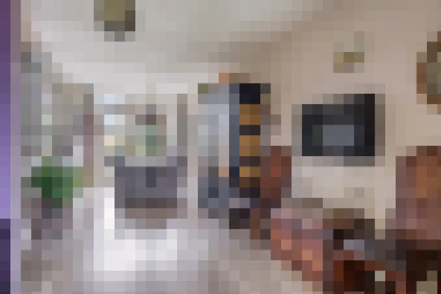 Gemeenelandsweg 15 Hippolytushoef thumbnail 15