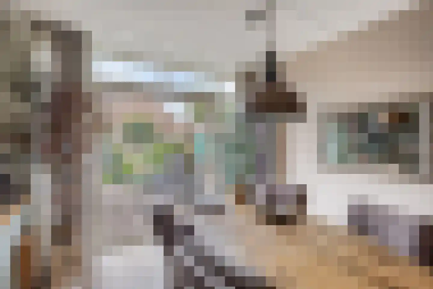 Gemeenelandsweg 15 Hippolytushoef thumbnail 18