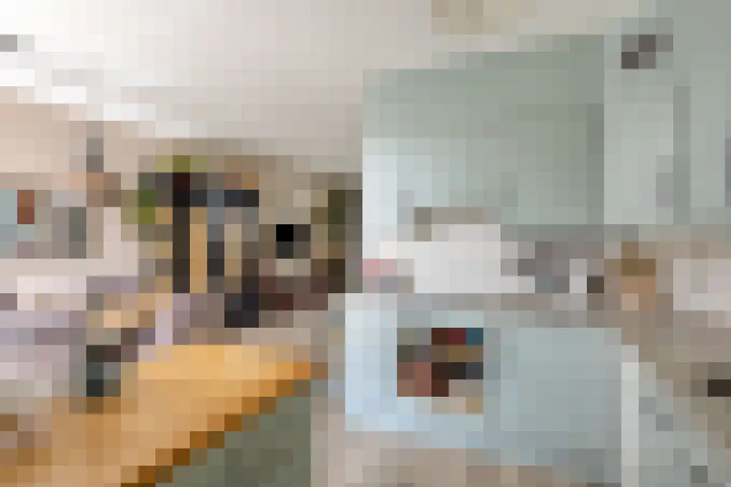Gemeenelandsweg 15 Hippolytushoef thumbnail 22