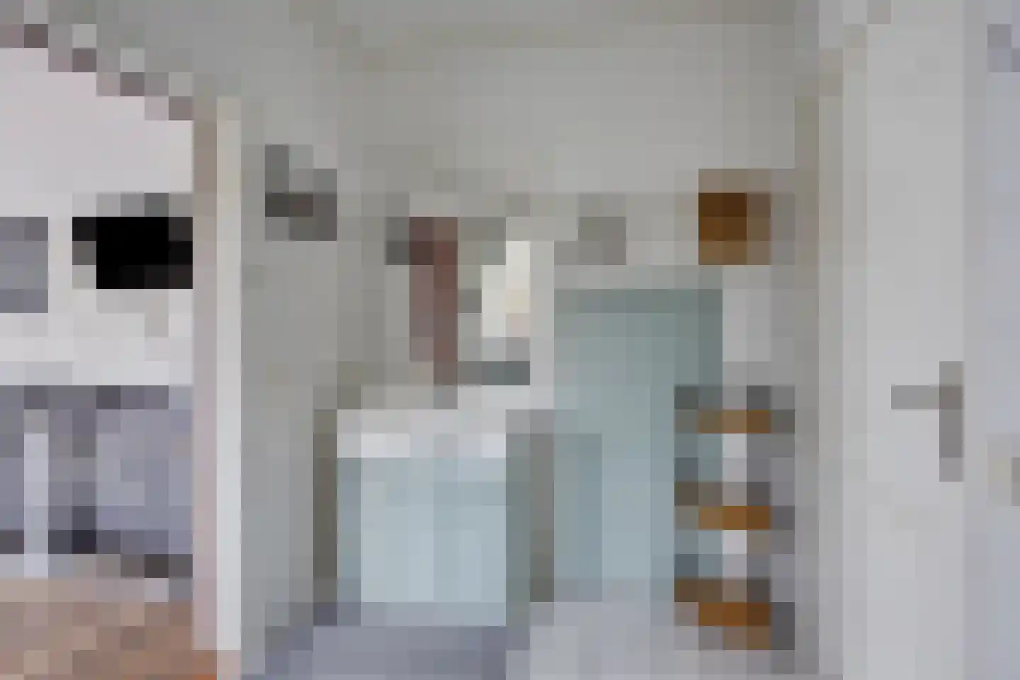 Gemeenelandsweg 15 Hippolytushoef thumbnail 27
