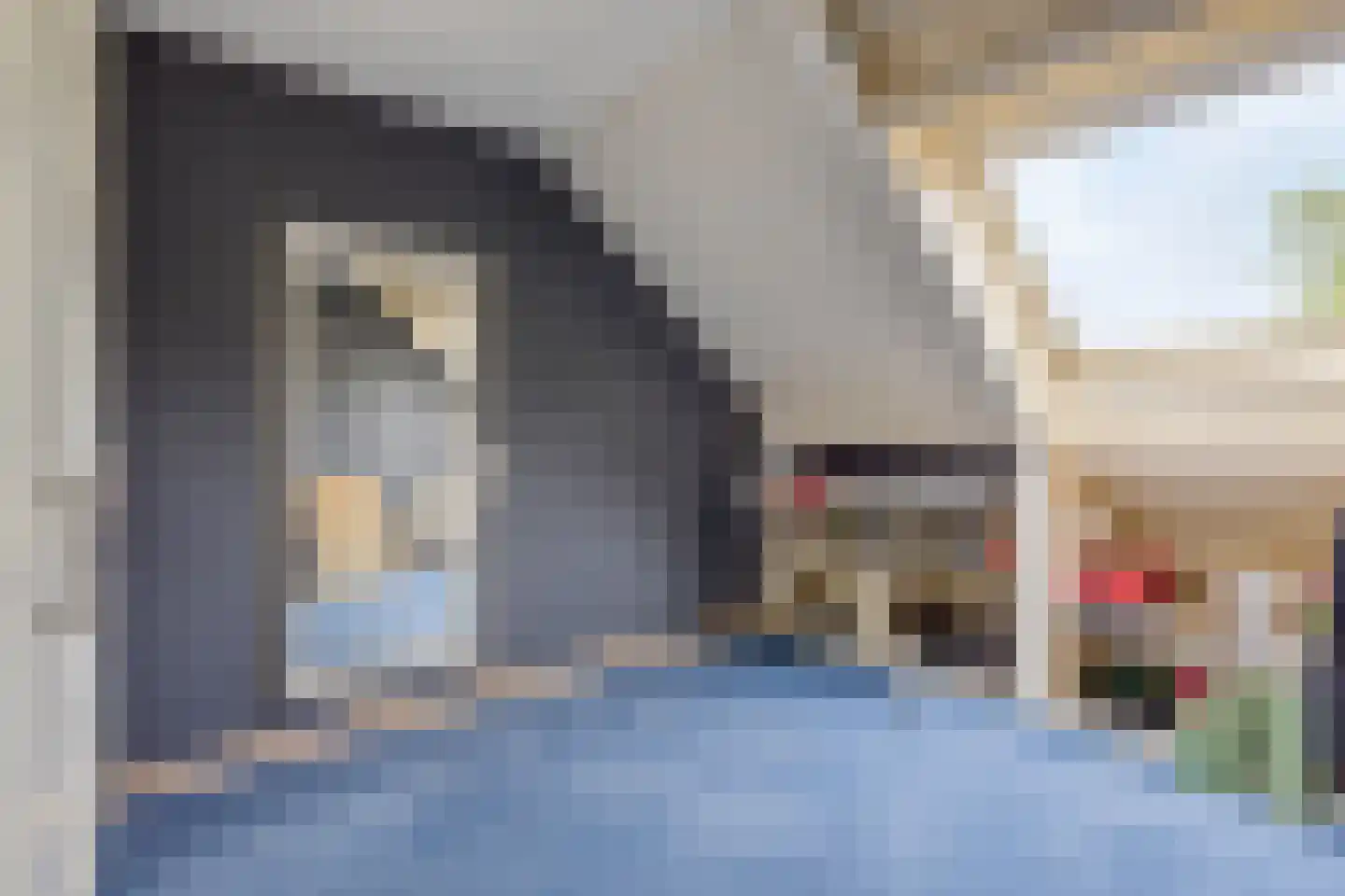 Gemeenelandsweg 15 Hippolytushoef thumbnail 38