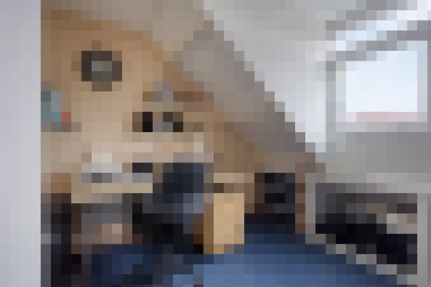 Gemeenelandsweg 15 Hippolytushoef thumbnail 42