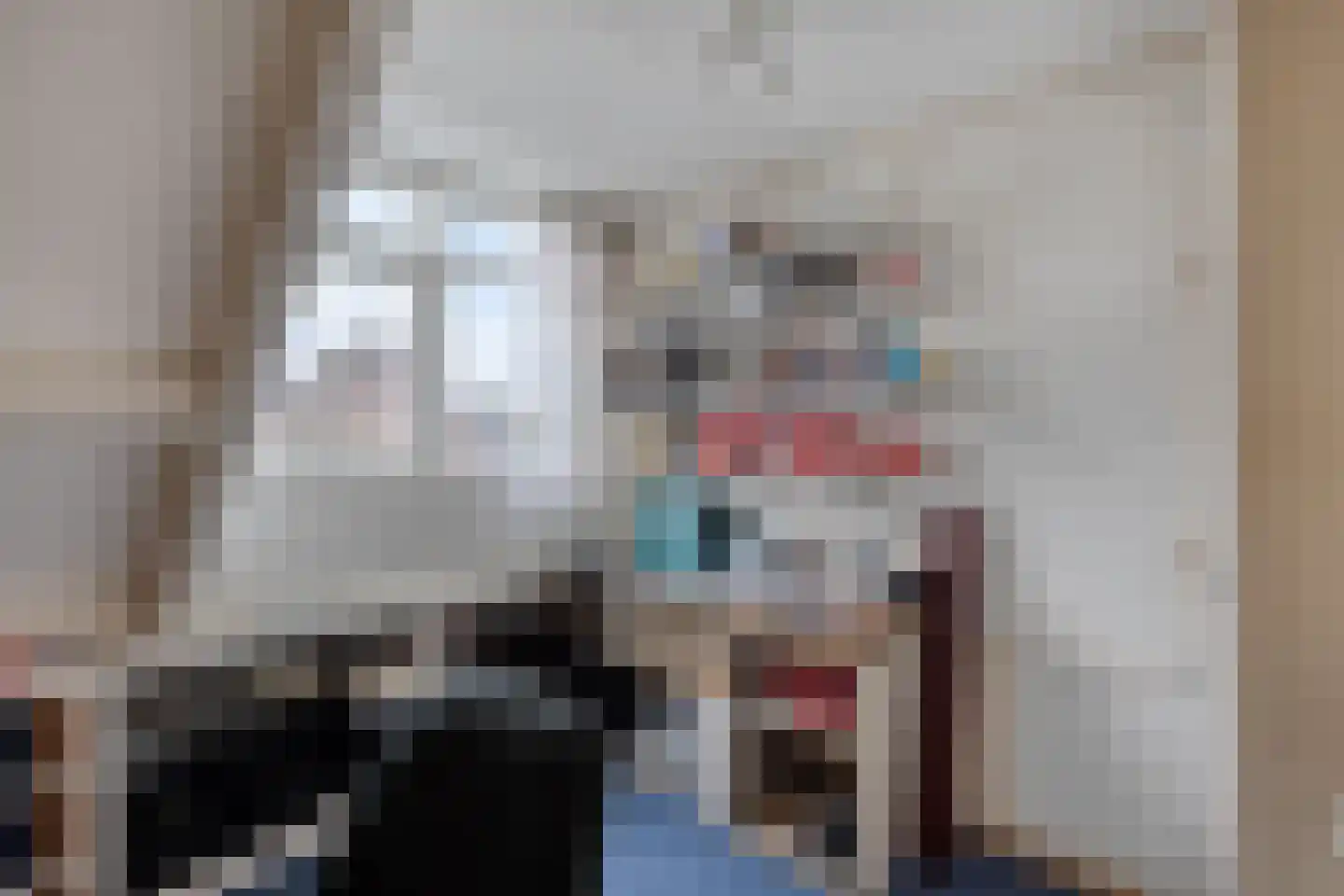 Gemeenelandsweg 15 Hippolytushoef thumbnail 43