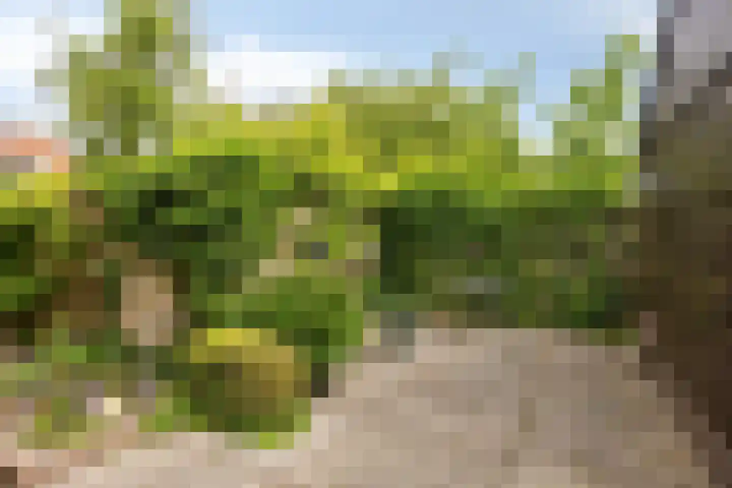 Gemeenelandsweg 15 Hippolytushoef thumbnail 53