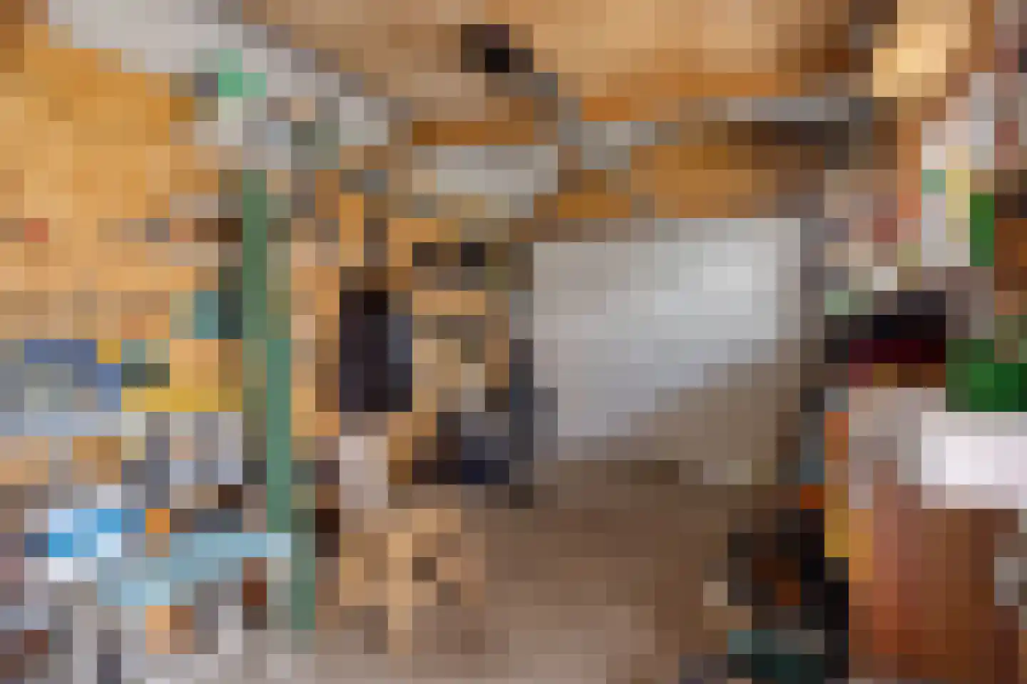 Gemeenelandsweg 15 Hippolytushoef thumbnail 56