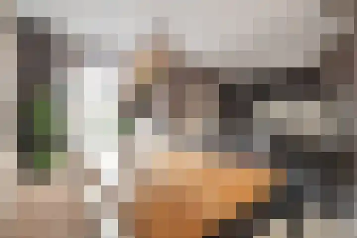 Gemeenelandsweg 9 Hippolytushoef thumbnail 11