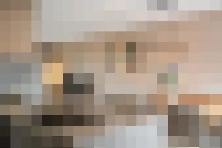 Gemeenelandsweg 9 Hippolytushoef thumbnail 12