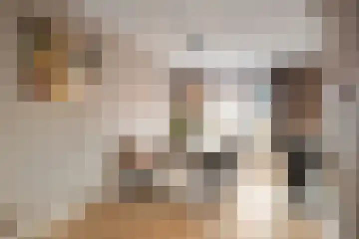 Gemeenelandsweg 9 Hippolytushoef thumbnail 13