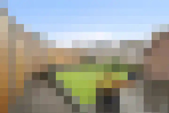 Gemeenelandsweg 9 Hippolytushoef thumbnail 17