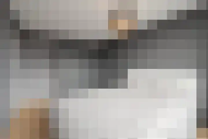 Gemeenelandsweg 9 Hippolytushoef thumbnail 19